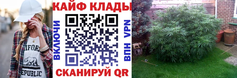Как найти закладки Устюжна А ПВП  МЕФ  ГАШ  АМФ  COCAIN  Канабис 