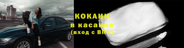 сатива Абаза